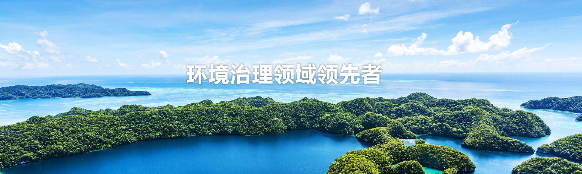 環(huán)境治理領(lǐng)域領(lǐng)先者